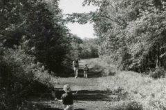 MSS 279: Farmington Canal Rail-to-Trail Association Records, 1986-2000