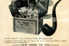 MSS 282: Thompson Family Scrapbooks, 1863-1938