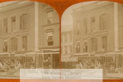 MSS B53: Lewis Osterweis & Sons Records, 1860-1954
